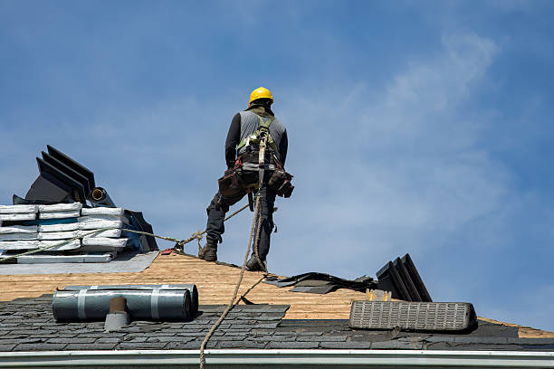 Professional Roof Replacement technician working in Arlington, IL